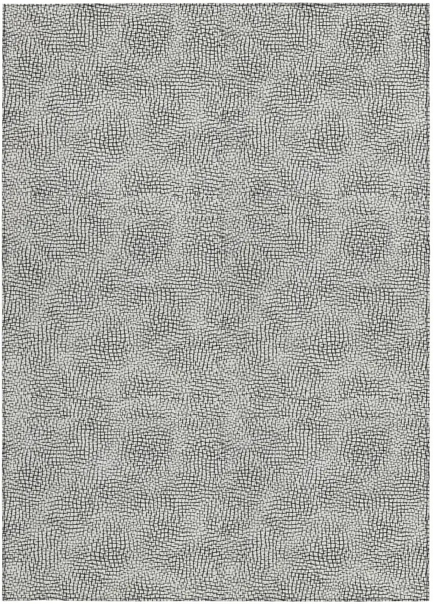 White And Black Geometric Washable Indoor Outdoor Area Rug Photo 6