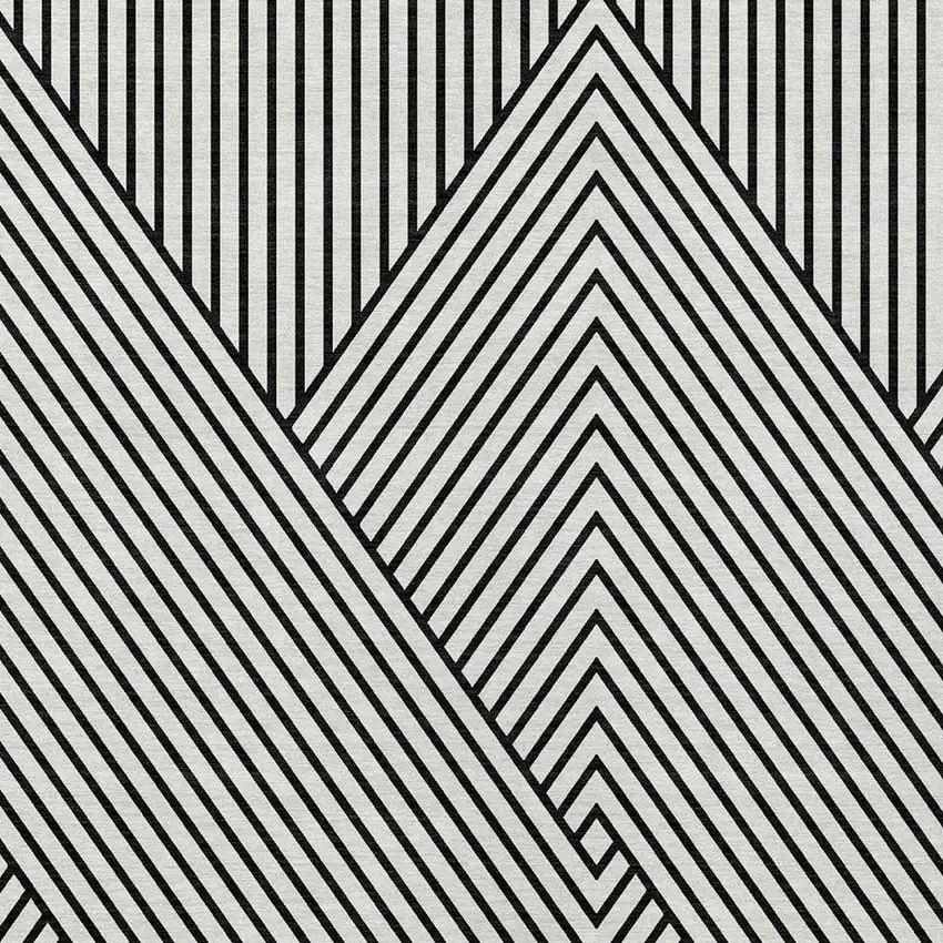 White And Black Geometric Washable Indoor Outdoor Area Rug Photo 5