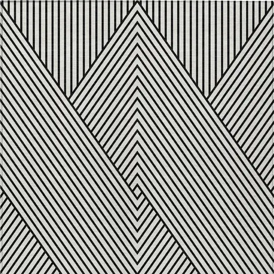 White And Black Geometric Washable Indoor Outdoor Area Rug Photo 7