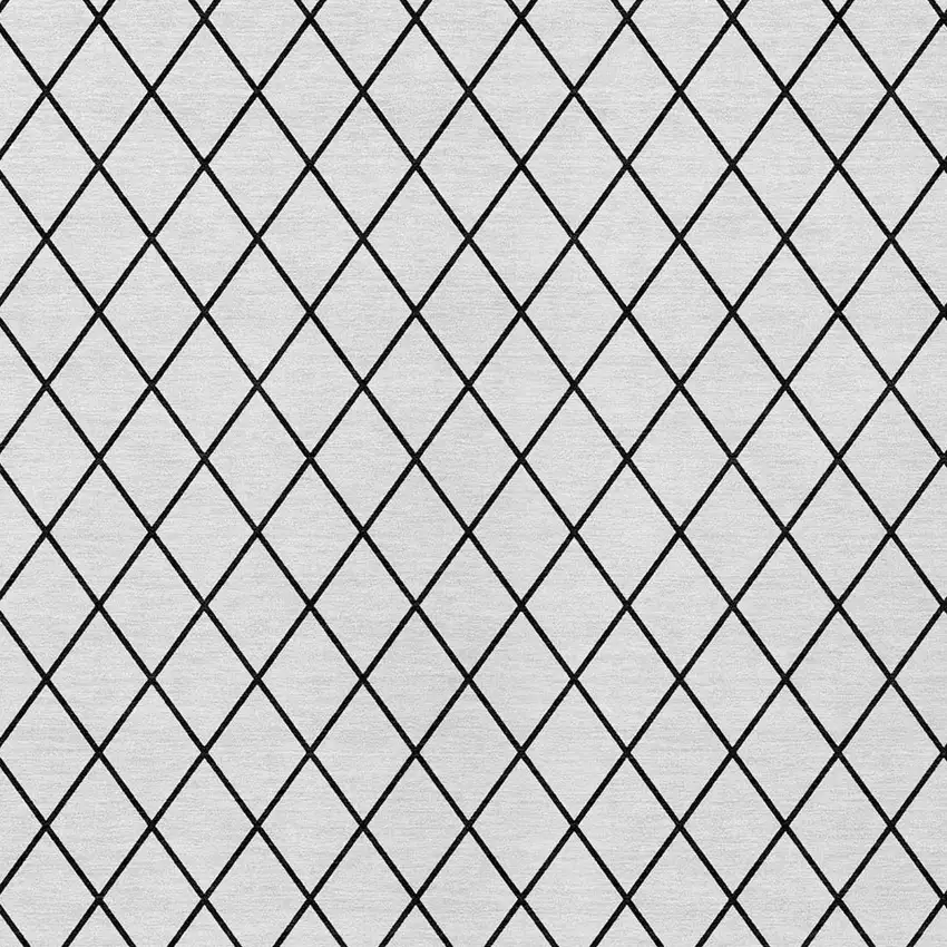 White And Black Geometric Washable Indoor Outdoor Area Rug Photo 6