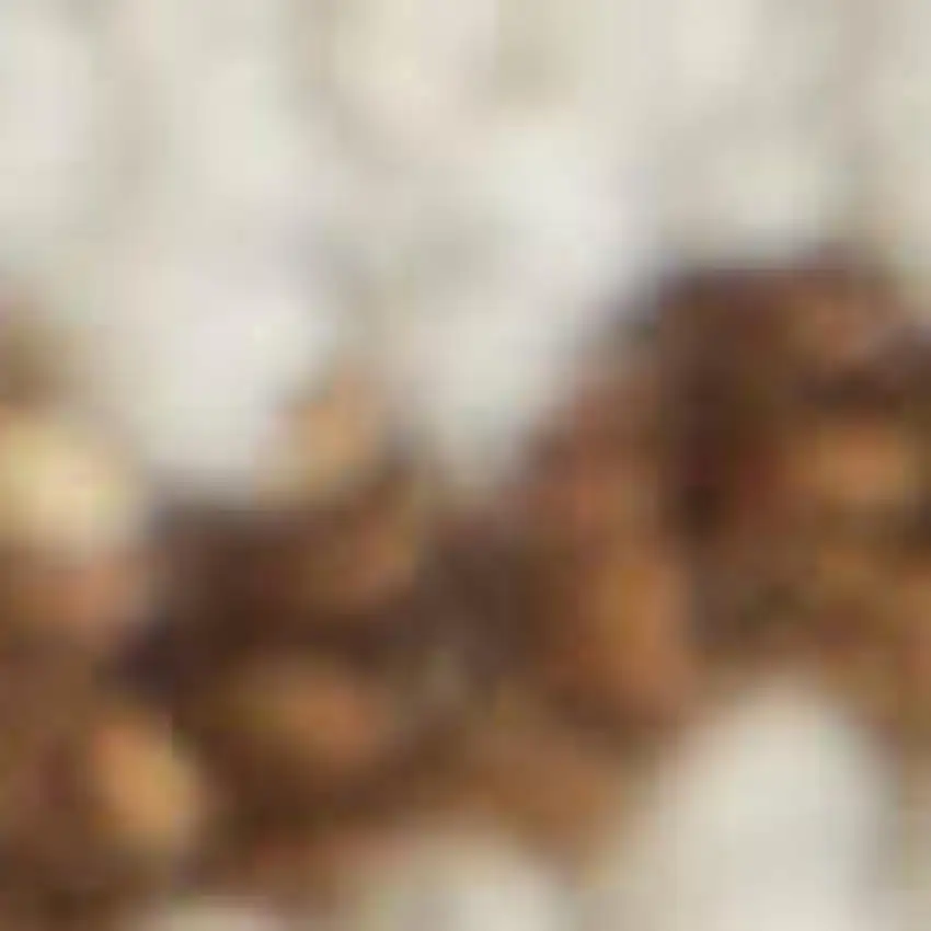 White And Brown Wool Ikat Hand Tufted Area Rug Photo 2