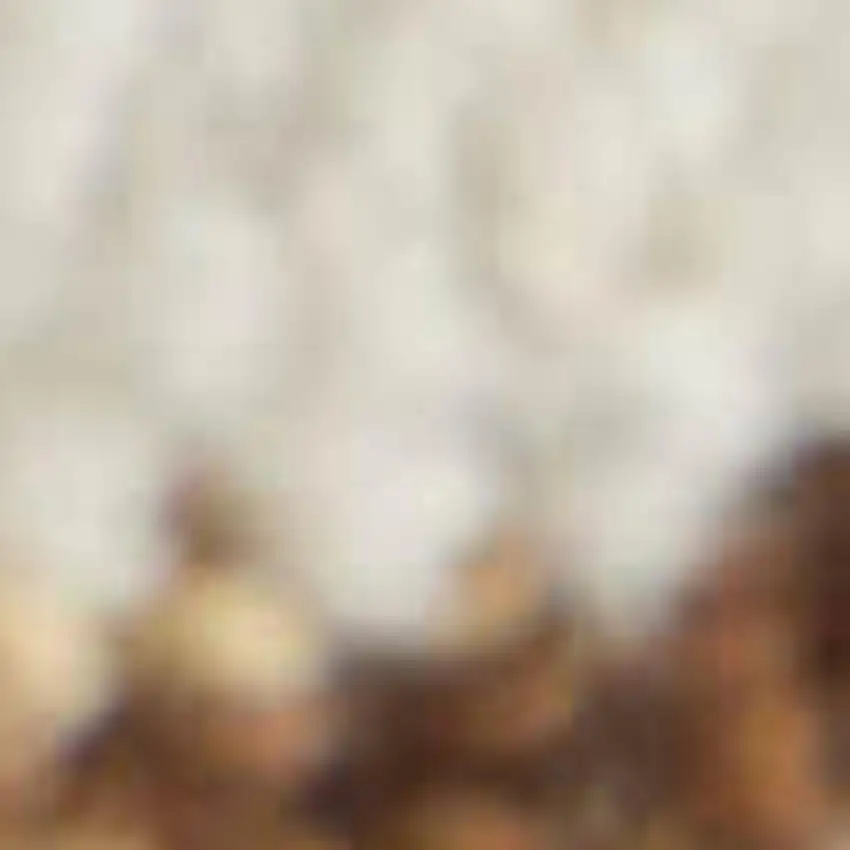 White And Brown Wool Ikat Hand Tufted Area Rug Photo 2