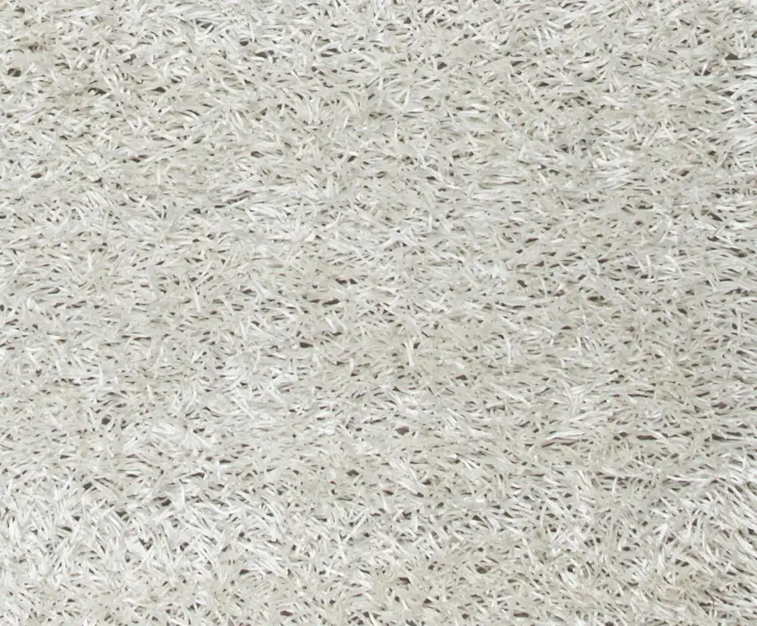 White And Natural Shag Hand Tufted Area Rug Photo 3