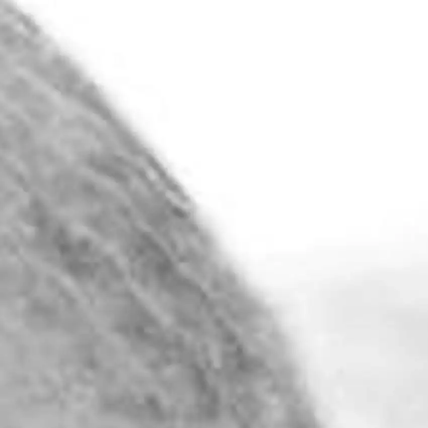 White Area Rug With Fringe Photo 3