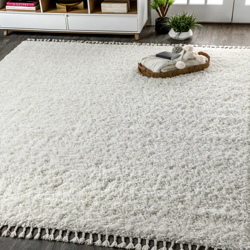 White Area Rug With Fringe Photo 1