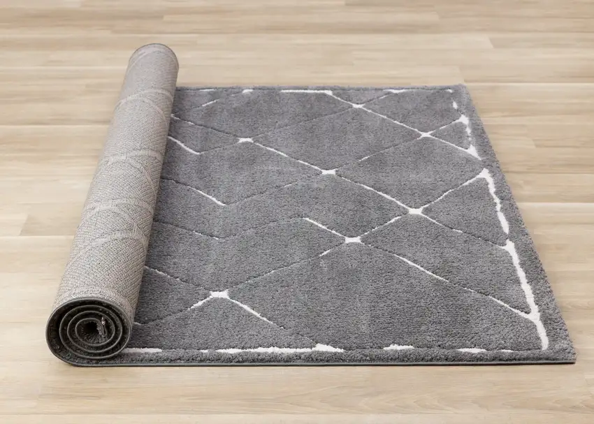 White Area Rug Photo 9