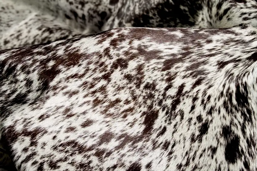 Brown And White Cowhide Handmade Area Rug Photo 6