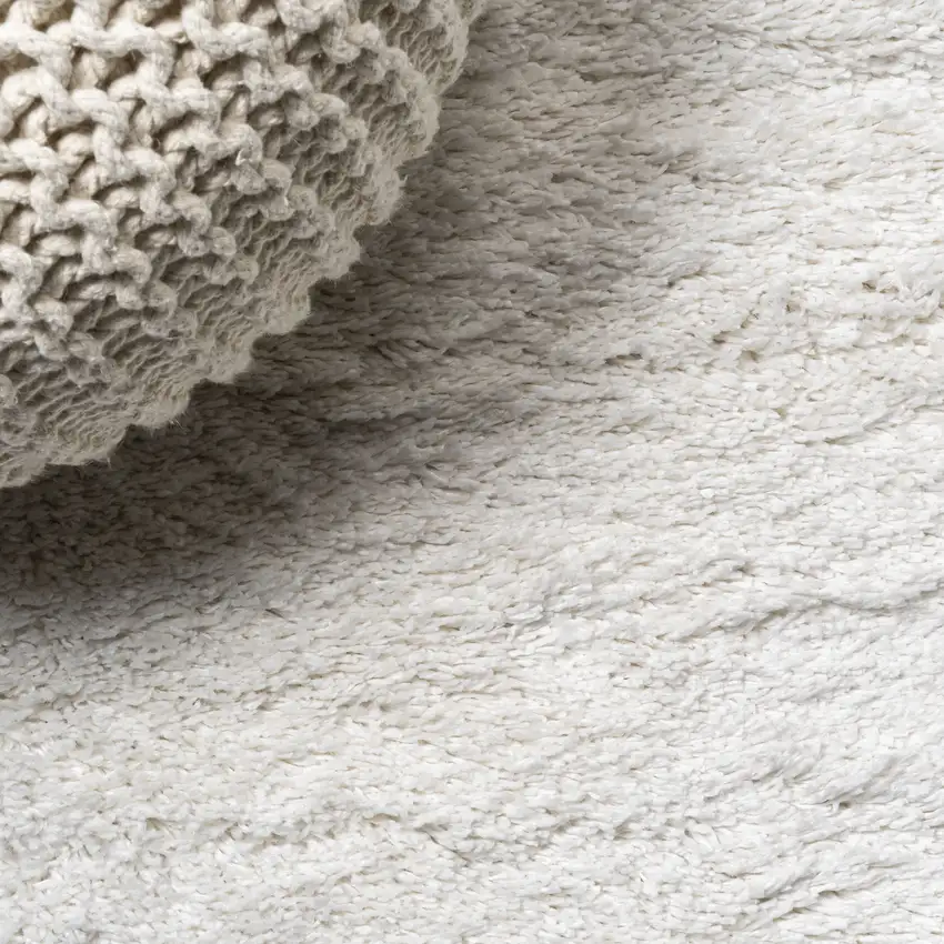 White Flatweave Area Rug Photo 9