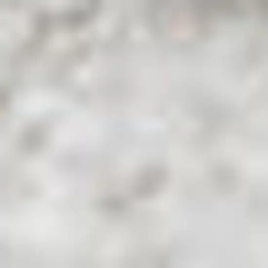 White Flatweave Area Rug Photo 3