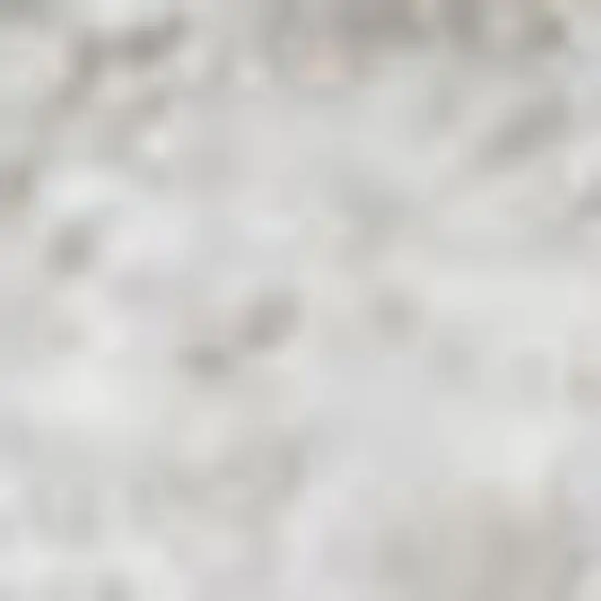 White Flatweave Area Rug Photo 4