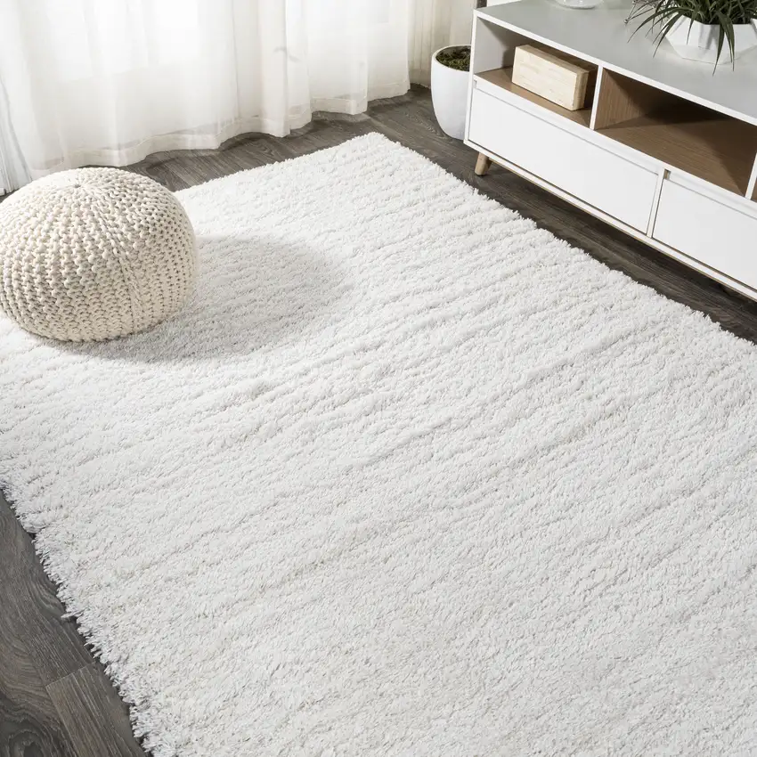 White Flatweave Area Rug Photo 8