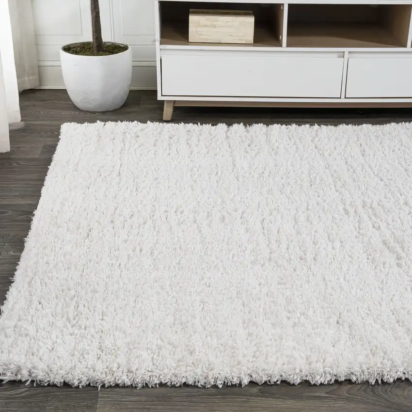 White Flatweave Area Rug Photo 6