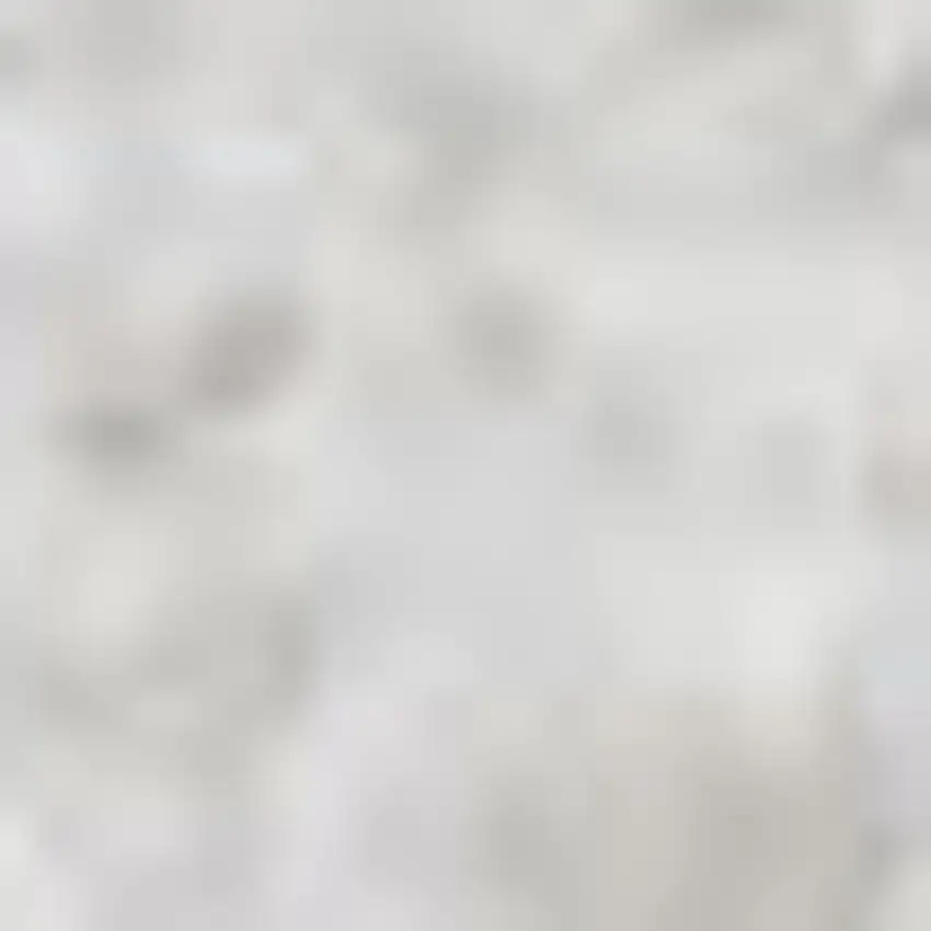 White Flatweave Area Rug Photo 3