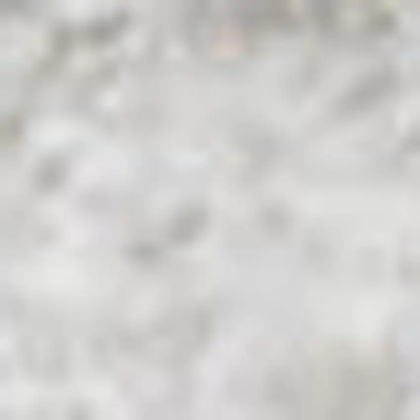 White Flatweave Area Rug Photo 4