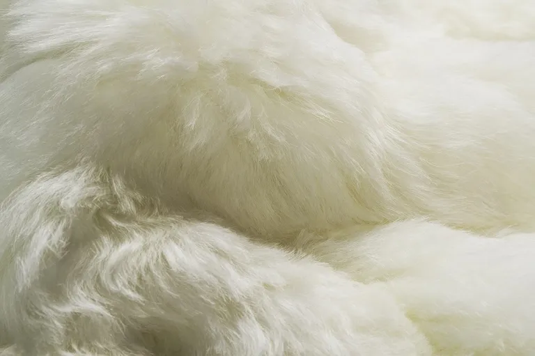 White  Natural Sheepskin Fur Area Rug Photo 1