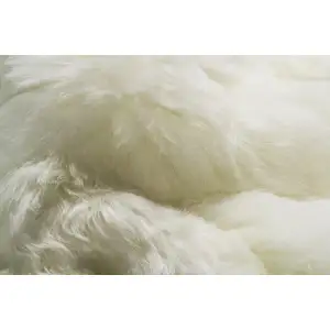 Photo of White  Natural Sheepskin Fur Area Rug