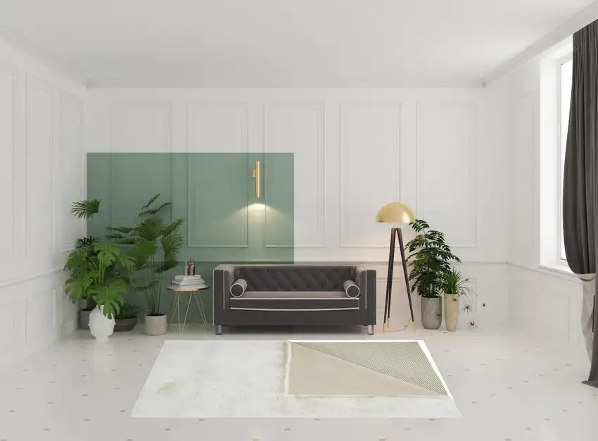 White Shag Area Rug Photo 2
