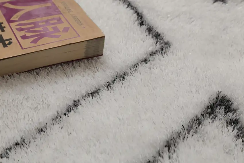 White Shag Hand Tufted Area Rug Photo 6