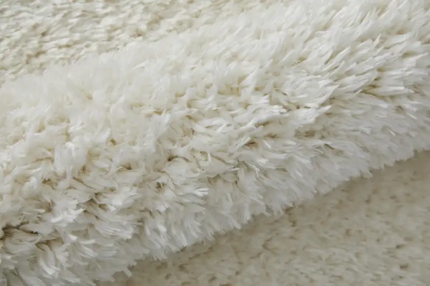 White Shag Power Loom Stain Resistant Area Rug Photo 9