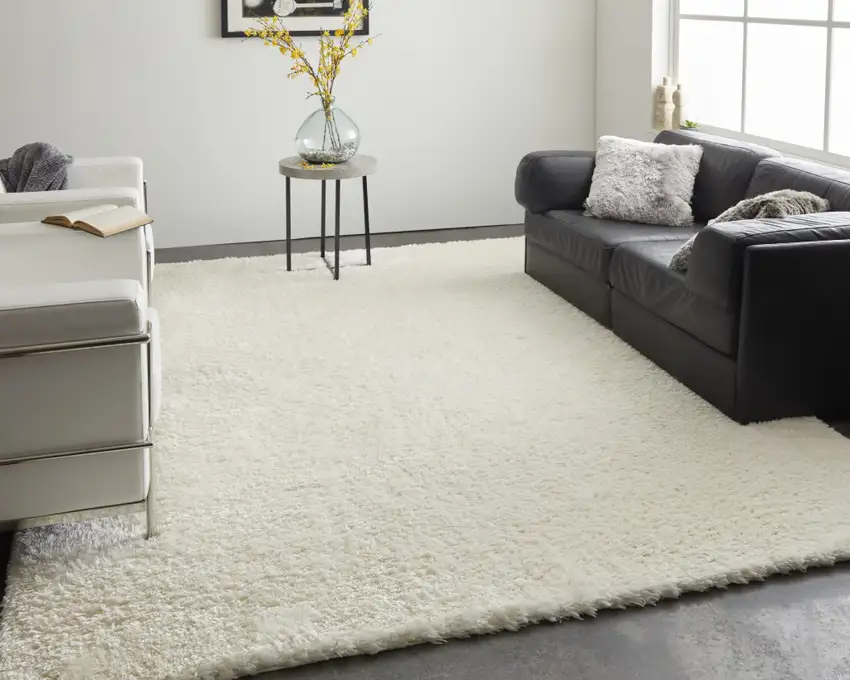 White Shag Power Loom Stain Resistant Area Rug Photo 7