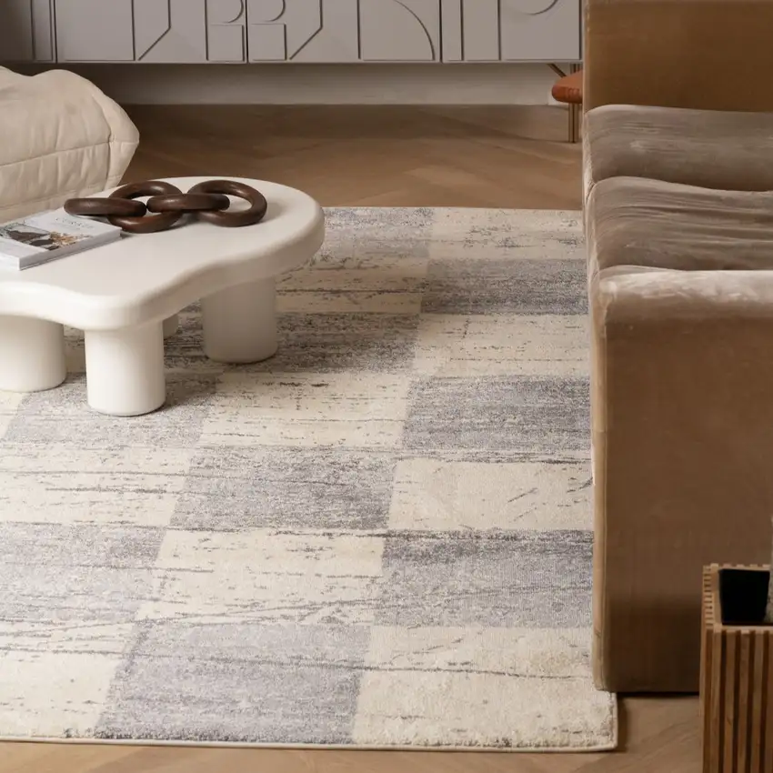 White And Gray Checkered Area Rug Photo 9