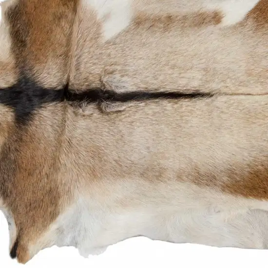 White And Tan Genuine Calfskin Area Rug Photo 2