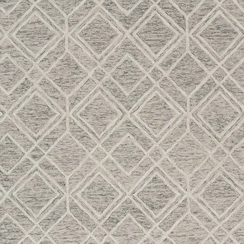 Wool Sand Area Rug Photo 7