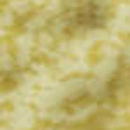 Yellow And Ivory Floral Washable Area Rug With UV Protection Photo 5