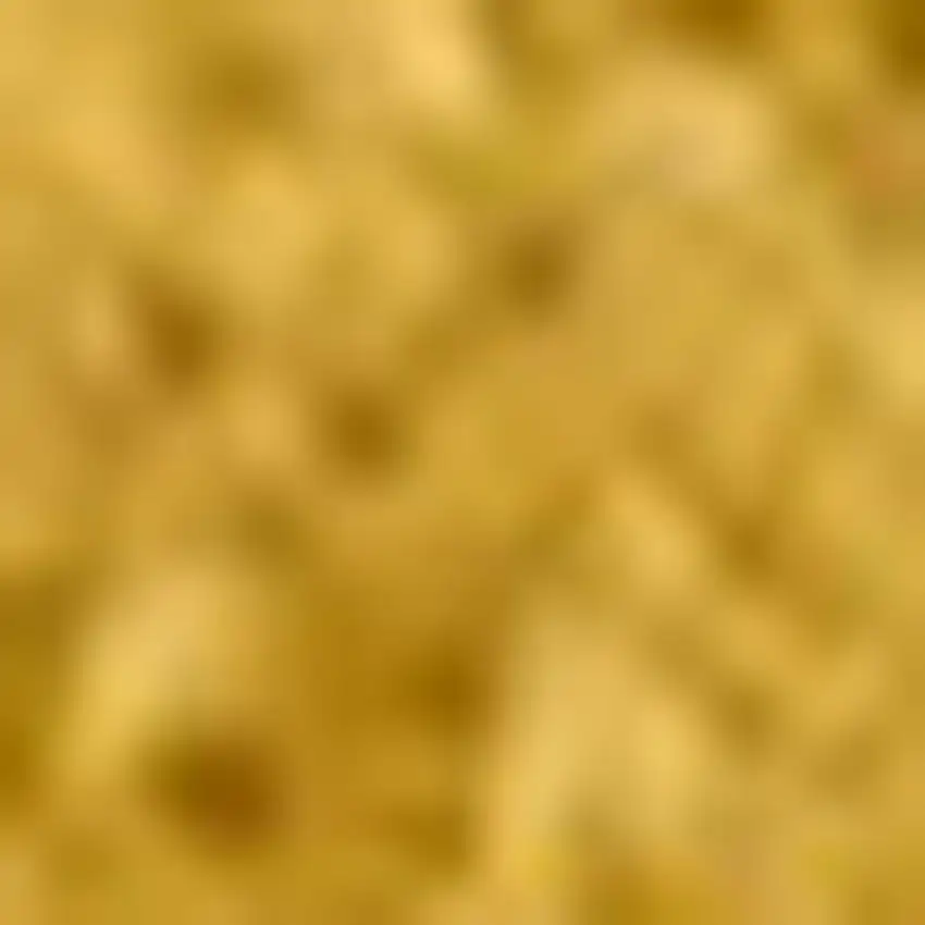 Yellow Area Rug Photo 4