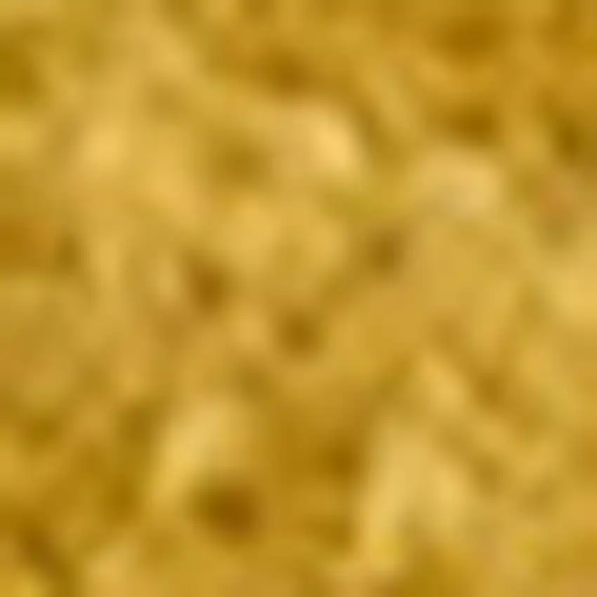 Yellow Area Rug Photo 5