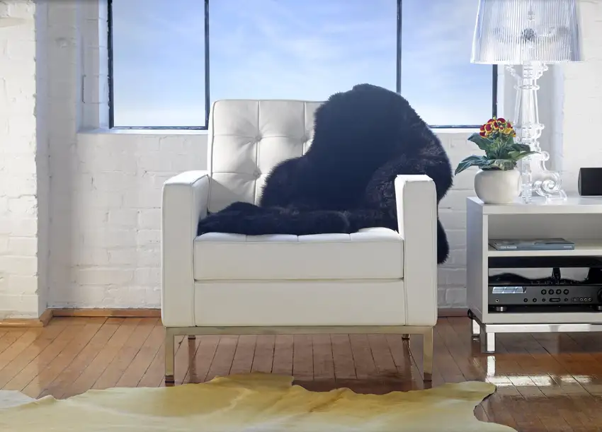 Yellow Cowhide - Rug Photo 3