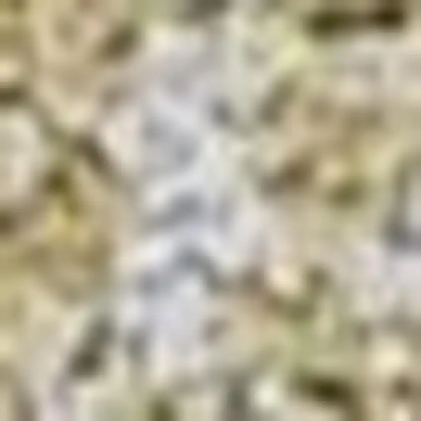 Yellow Shag Hand Woven Area Rug Photo 4