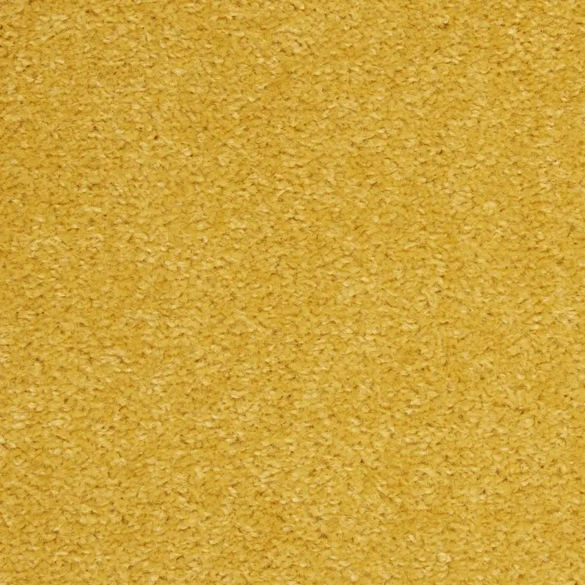 Yellow Indoor Outdoor Runner Rug Photo 8