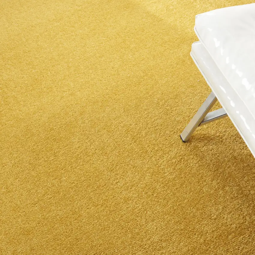 Yellow Round Indoor Outdoor Area Rug Photo 7