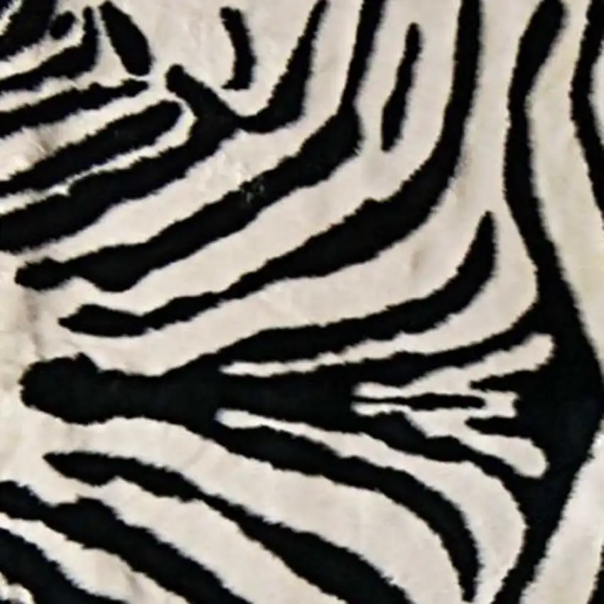 Zebra Black And White Print Area Rug Photo 5