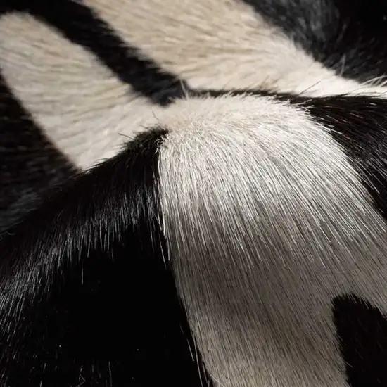 Zebra Stripe Black And White Natural Cowhide Area Rug Photo 4