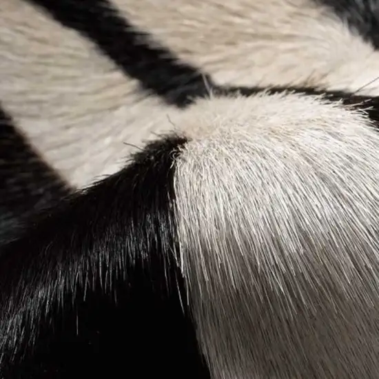 Zebra Stripe Black And White Natural Cowhide Area Rug Photo 3